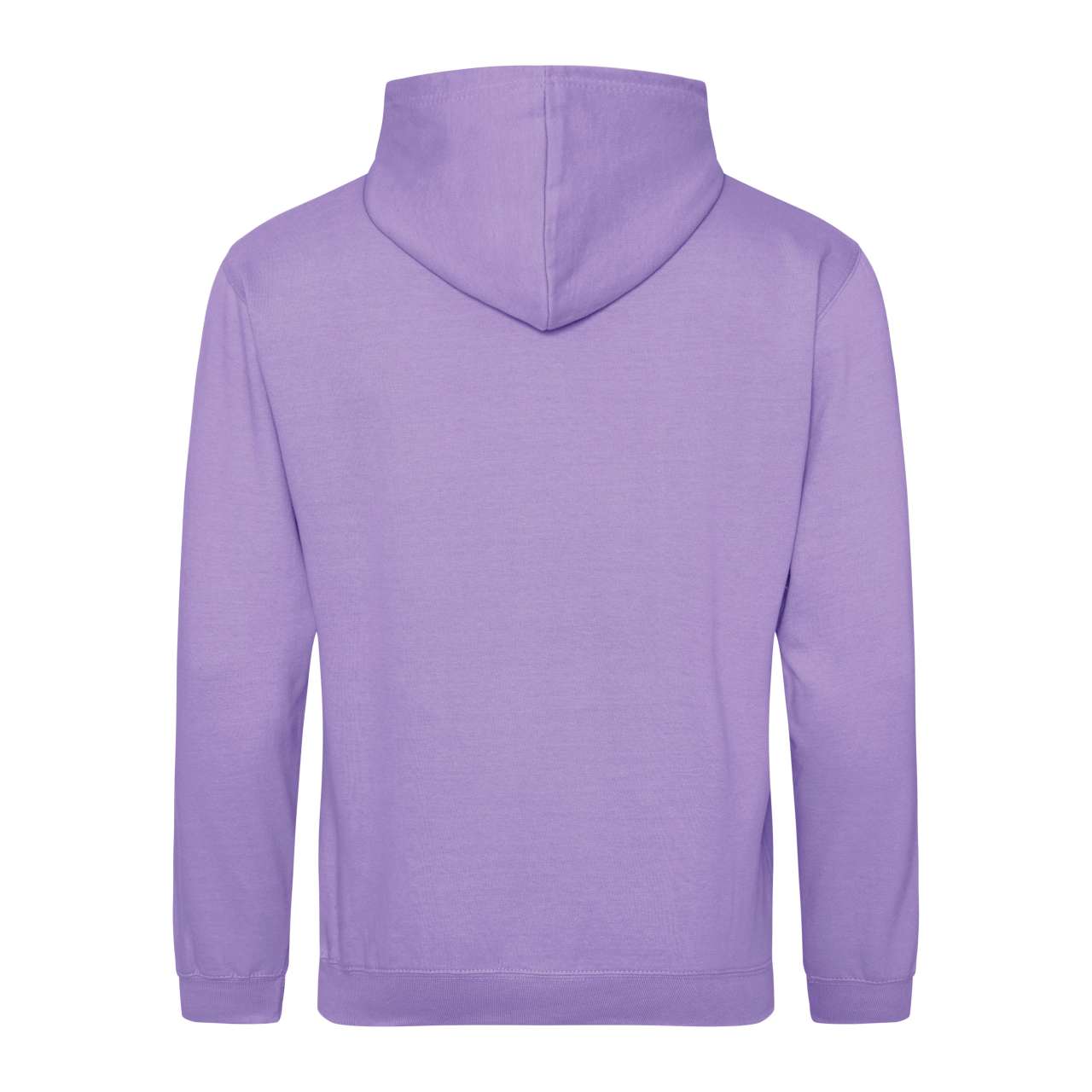 COLLEGE HOODIE - Digital Lavender - Additional