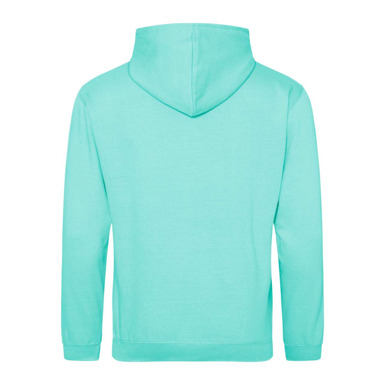 COLLEGE HOODIE - Peppermint - Additional