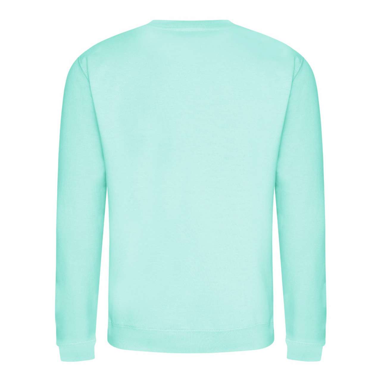 AWDIS SWEAT - Peppermint - Main