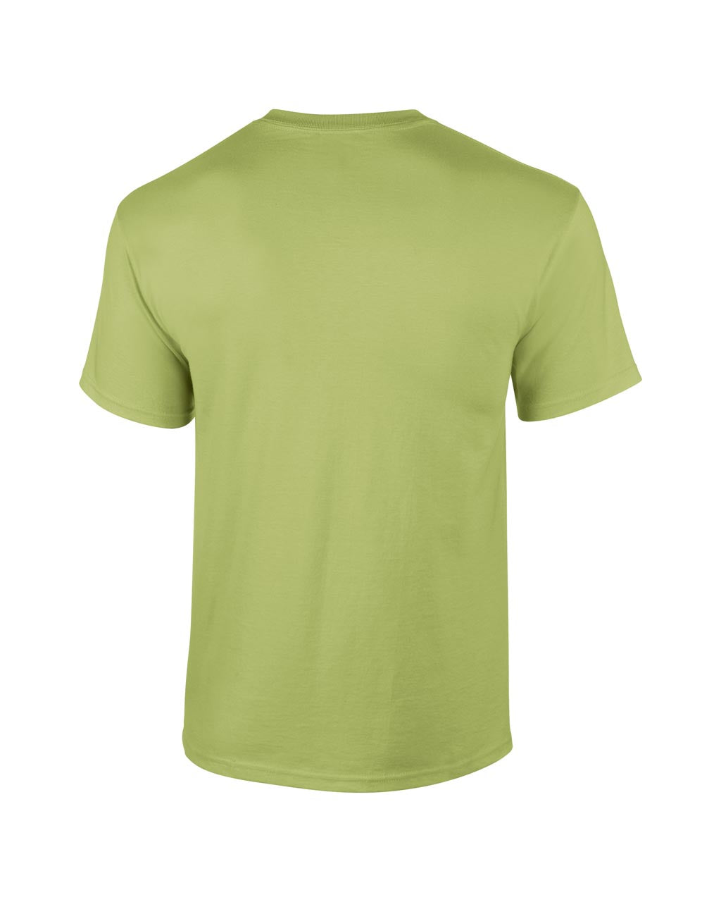 ULTRA COTTON™ ADULT T-SHIRT - Pistachio - Additional
