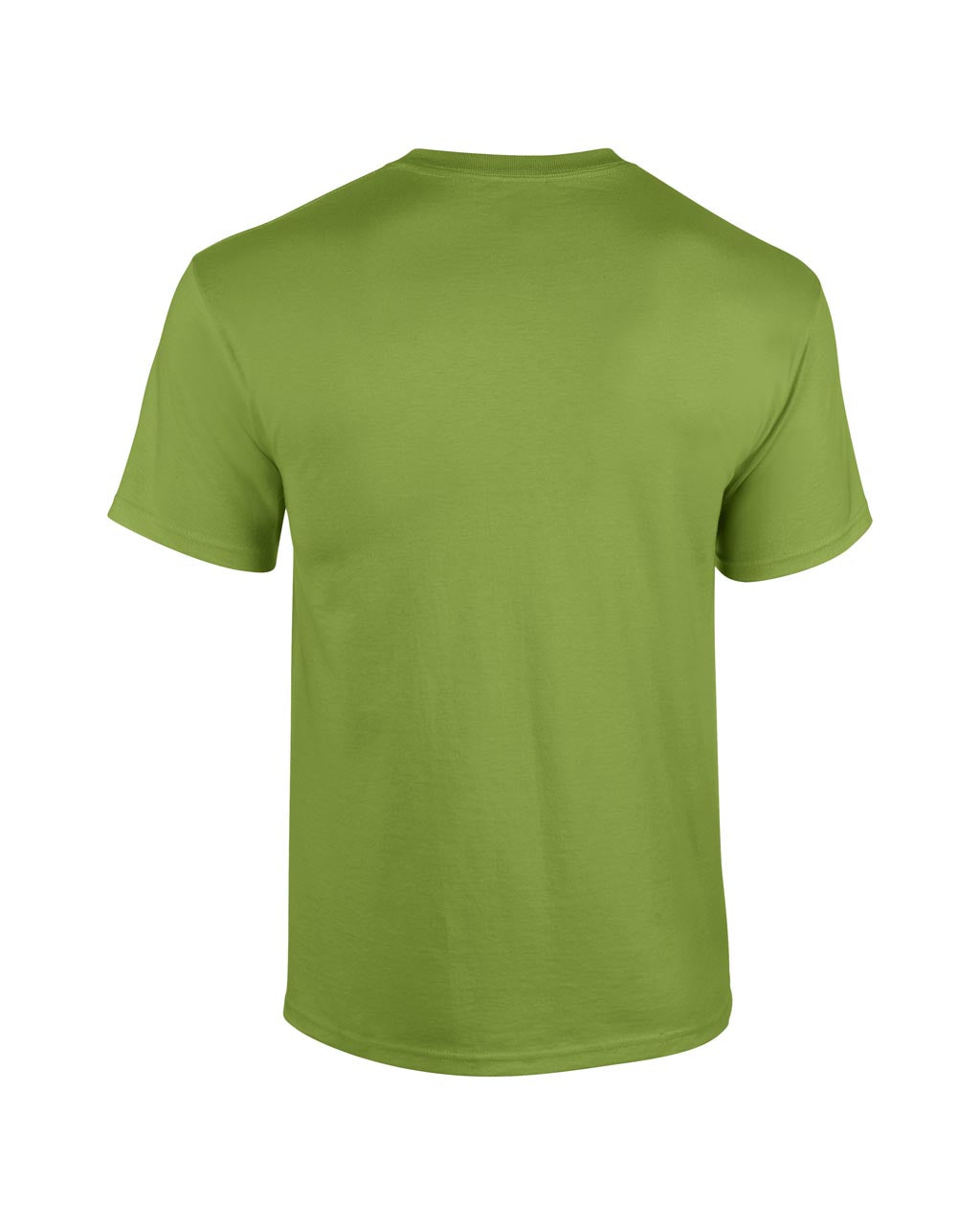 HEAVY COTTON™ ADULT T-SHIRT - Kiwi - Additional