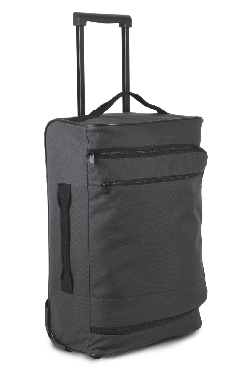 CABIN SIZE TROLLEY SUITCASE - Black - Model