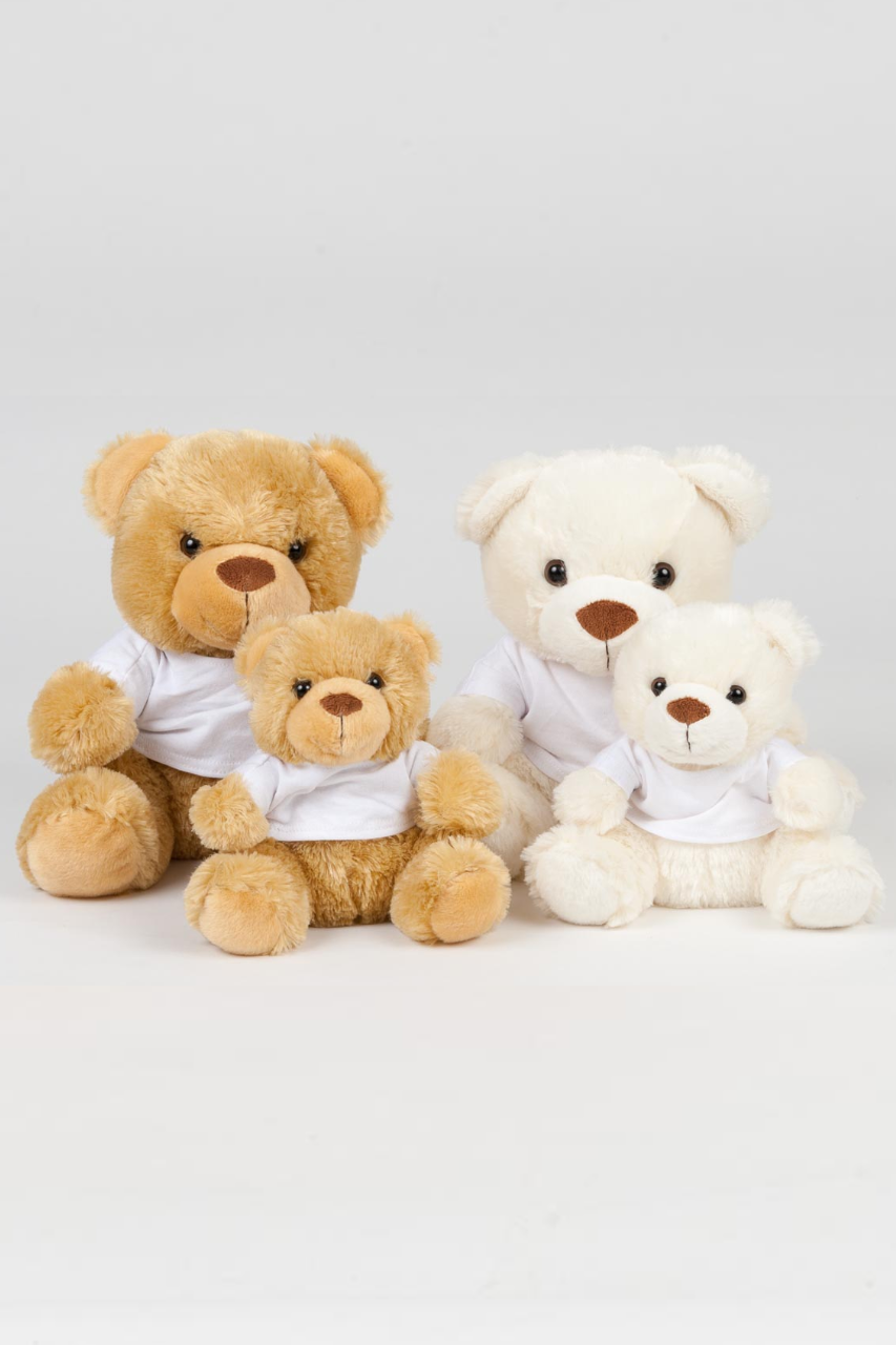 BEAR IN A T-SHIRT - Brown - modelimageurl