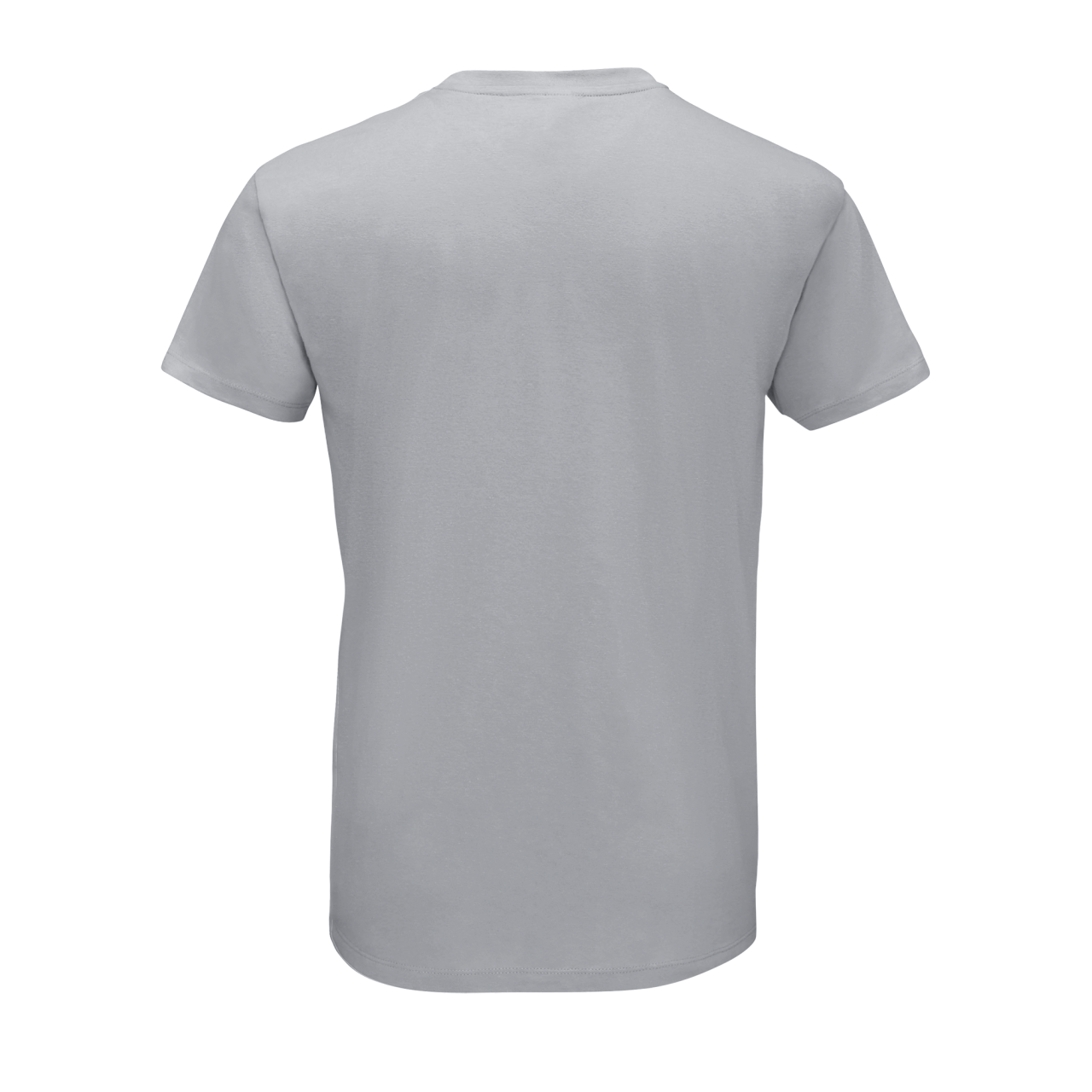 SOL'S REGENT - UNISEX ROUND COLLAR T-SHIRT - Pure Grey - Additional