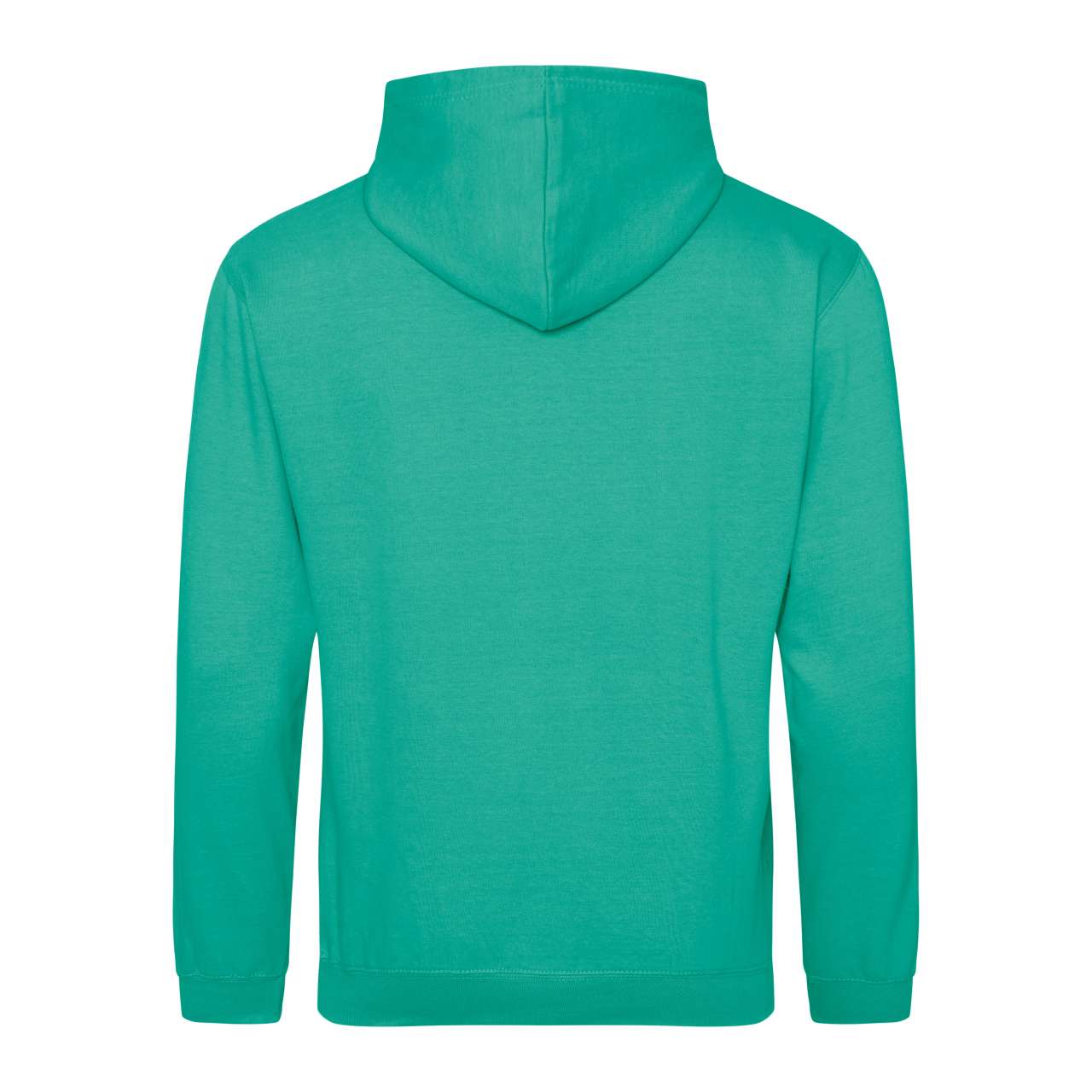COLLEGE HOODIE - Spring Green - Additional