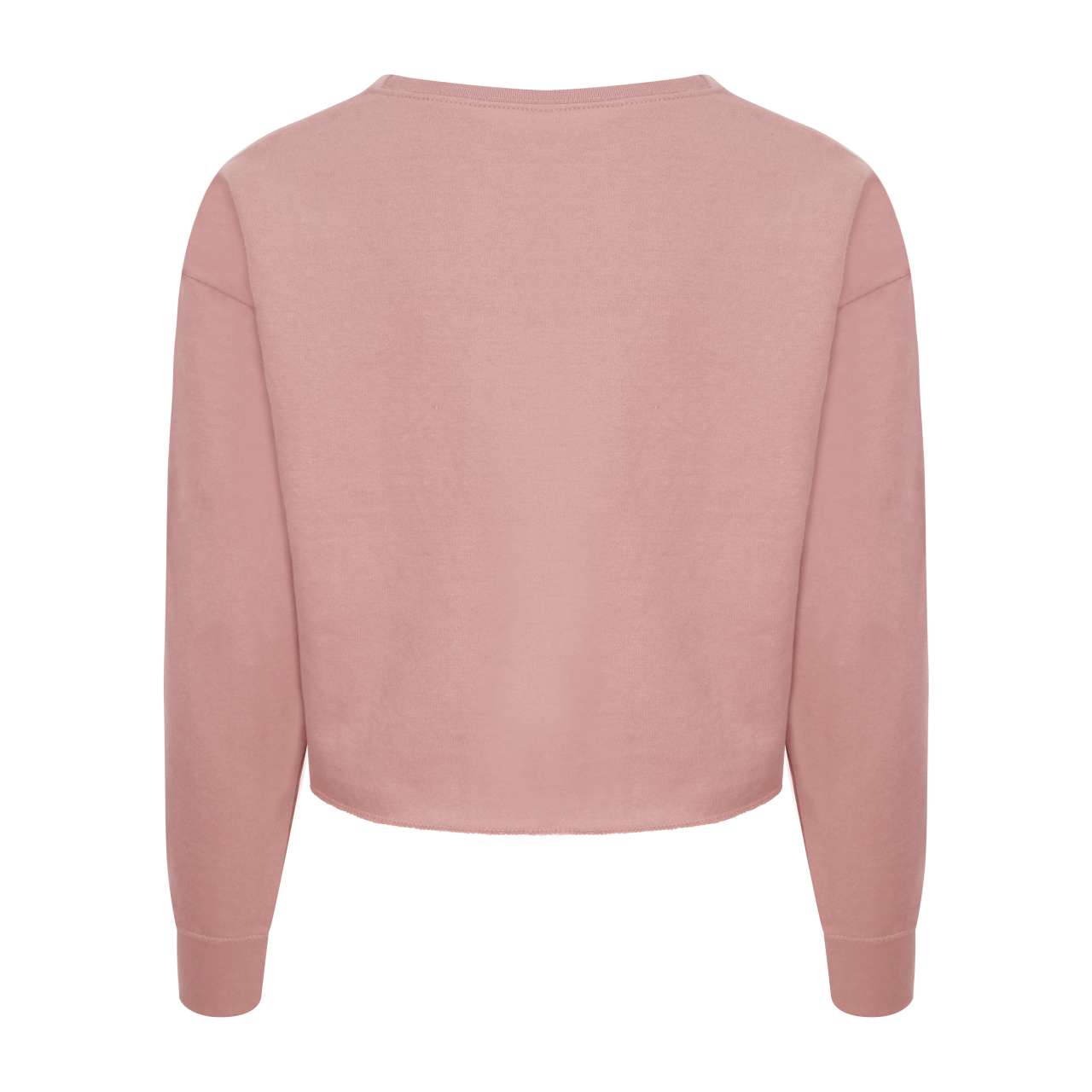 WOMEN'S CROPPED SWEAT - Arctic White - Additional