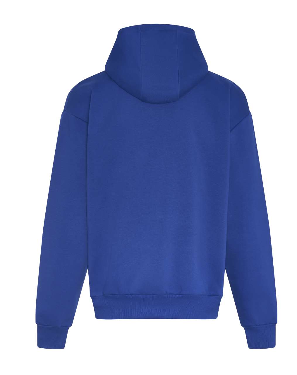 SIGNATURE HEAVYWEIGHT HOODIE - Bright Royal - Additional