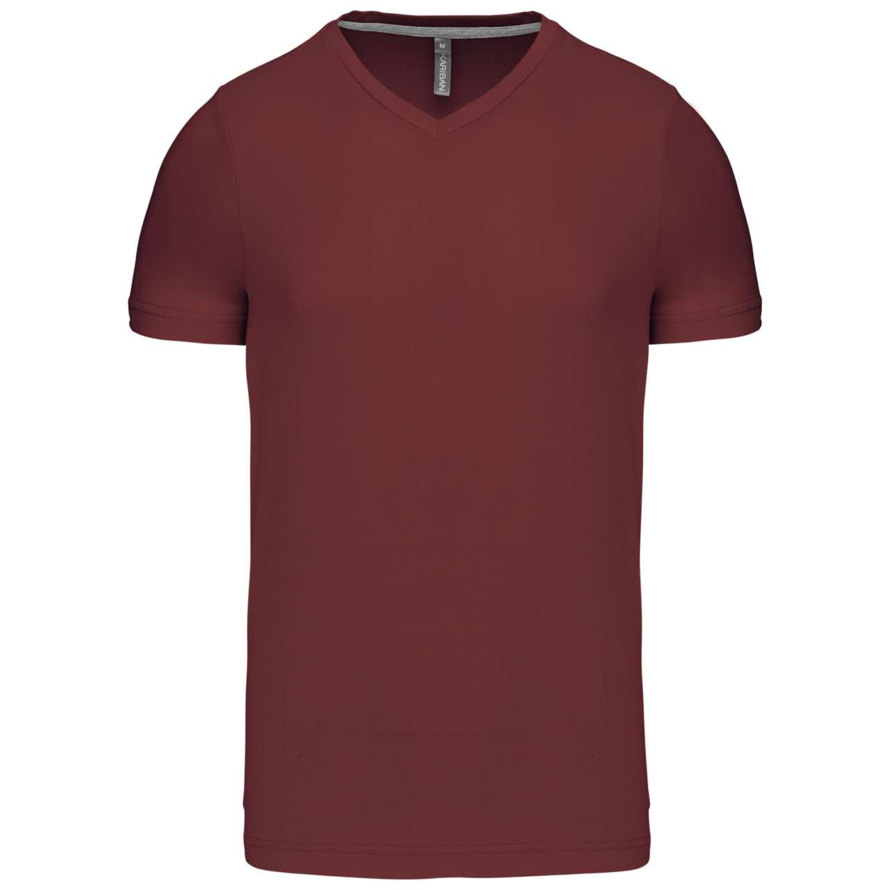MEN'S SHORT-SLEEVED V-NECK T-SHIRT - Color Image