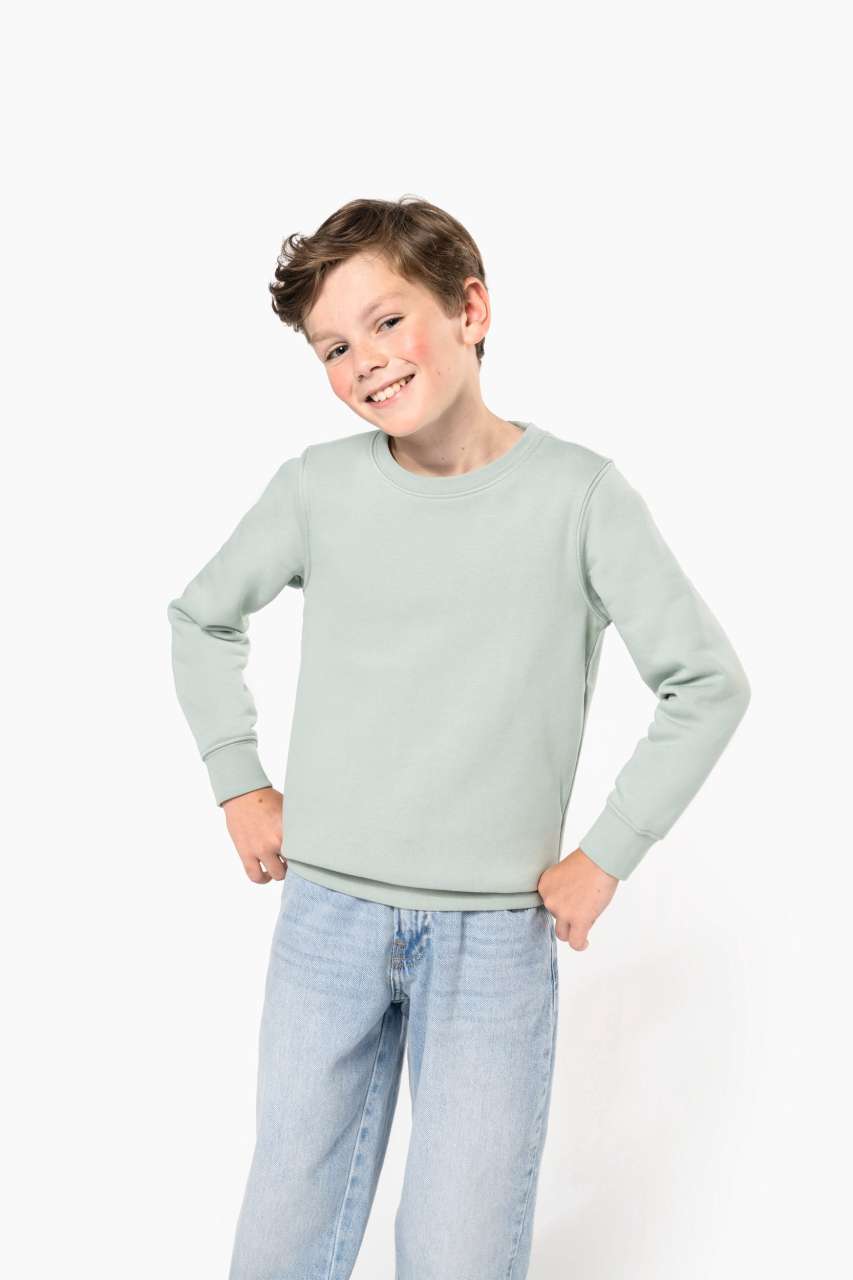 KA4026 Sage