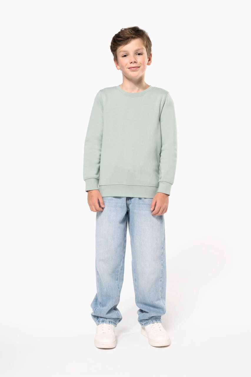 KA4026 Sage