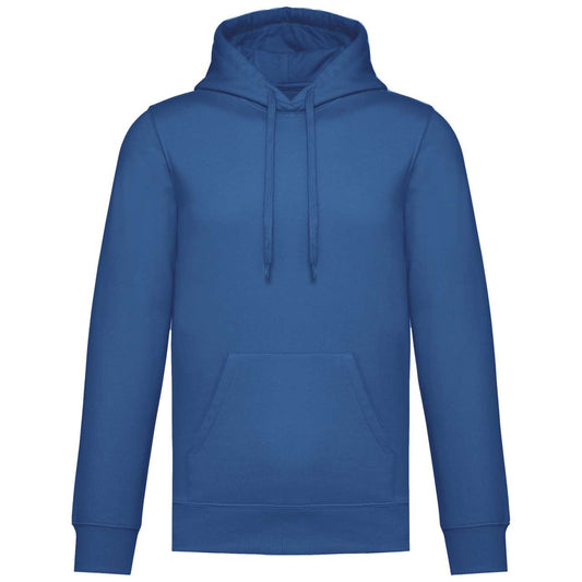 UNISEX HOODIE SWEATSHIRT - Light Royal Blue - colorimageurl