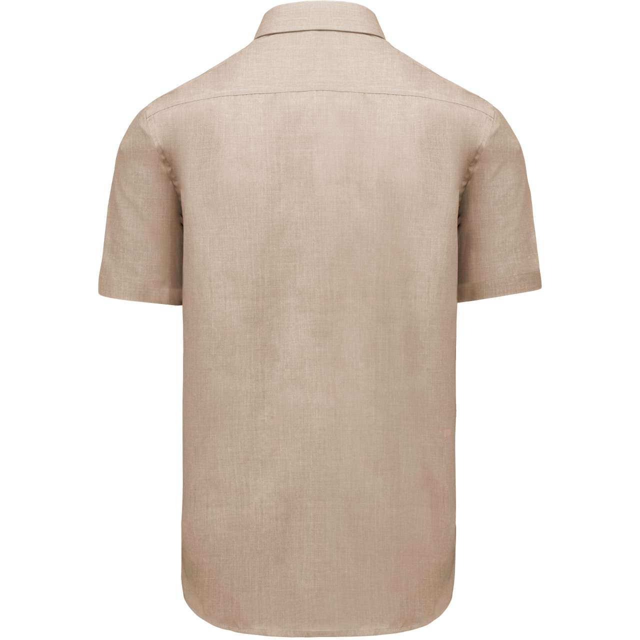ACE - SHORT-SLEEVED SHIRT - Angora - Additional