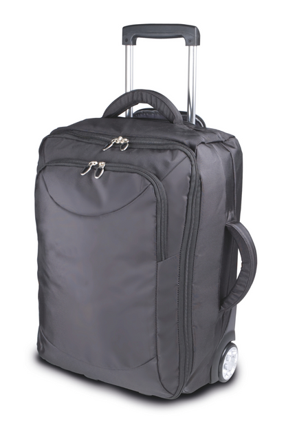TROLLEY SUITCASE - Black - Model