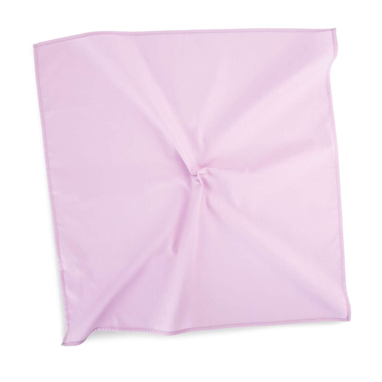 KP451 Blush Orchid