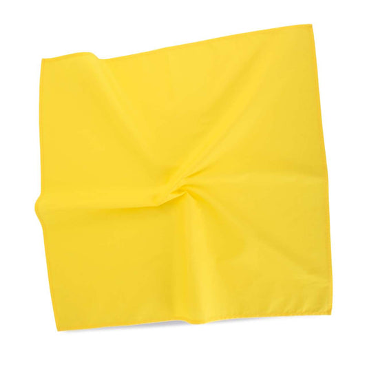 KP451 Peppy Yellow