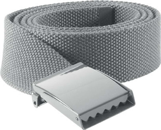 POLYESTER BELT - Light Grey - Main