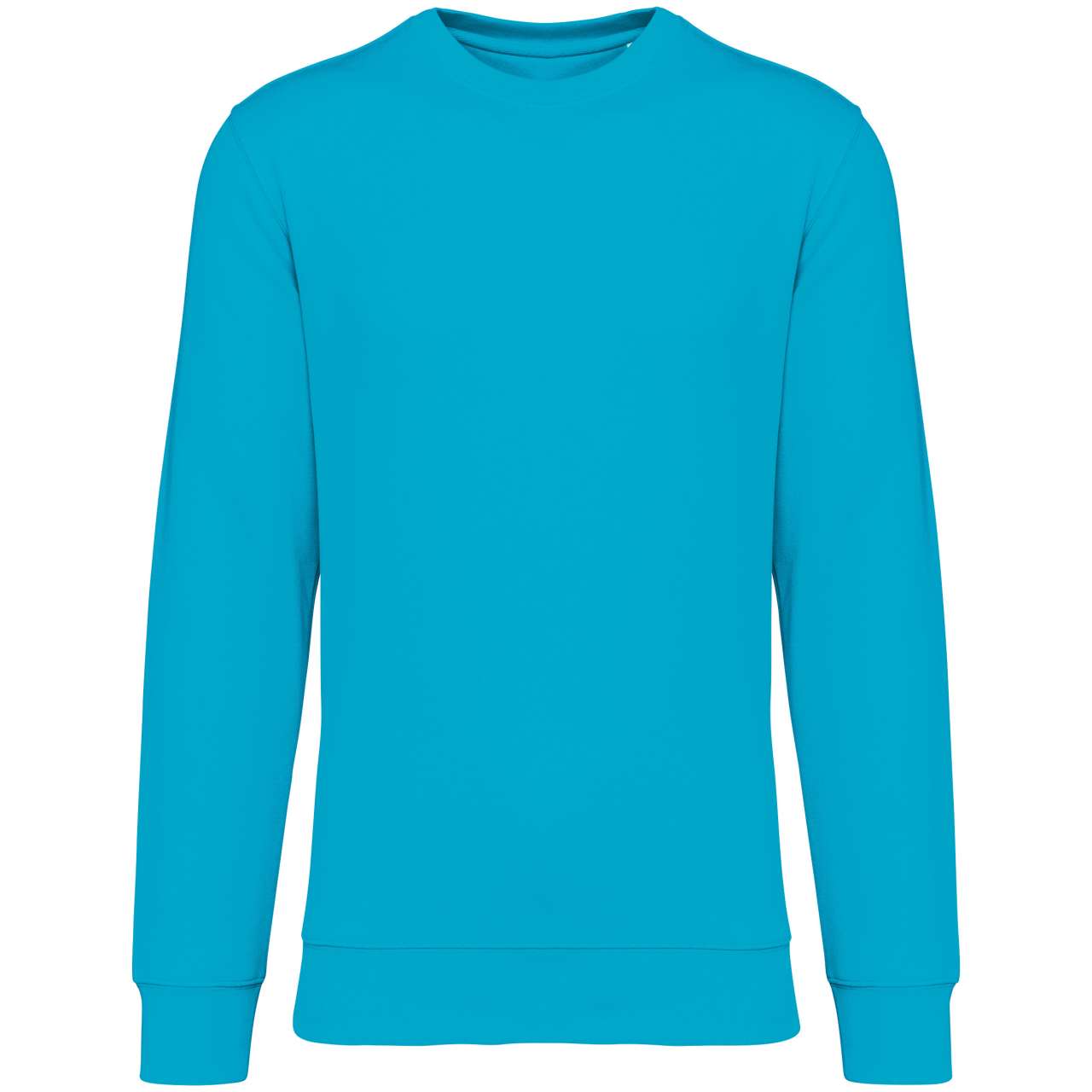 NS400 Light Turquoise