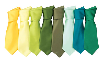 'COLOURS COLLECTION' SATIN TIE - Chestnut - Additional