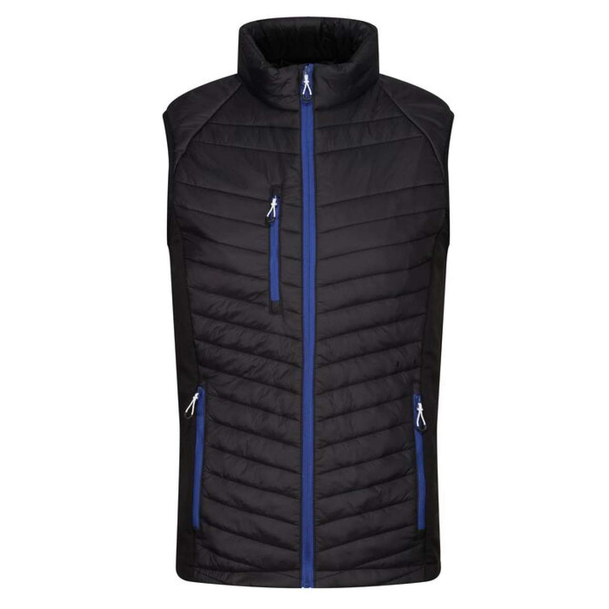 RETRA894A-EX Black/New Royal