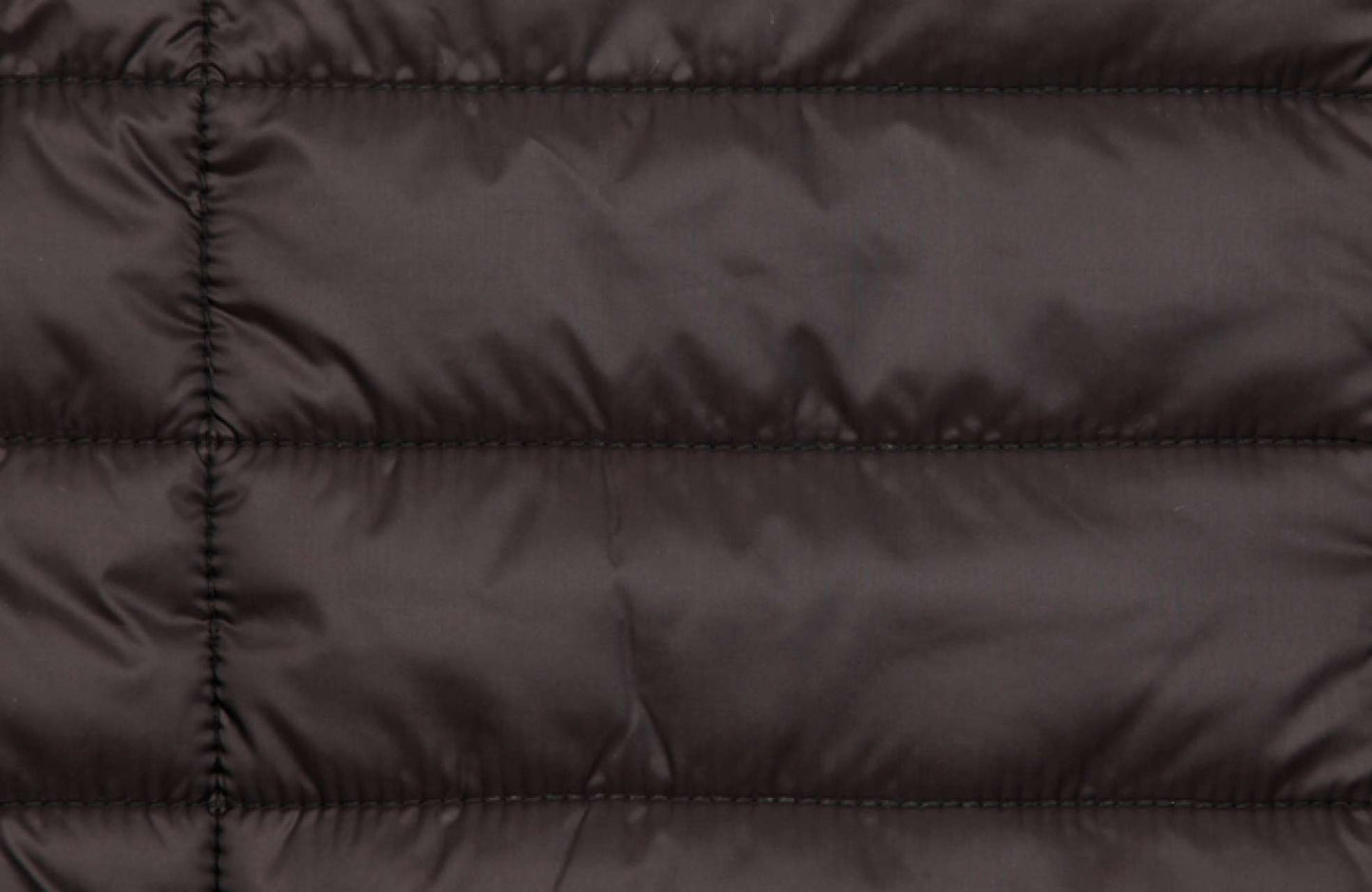 SOL'S RIDE MEN - LIGHT PADDED JACKET - Black - Additional