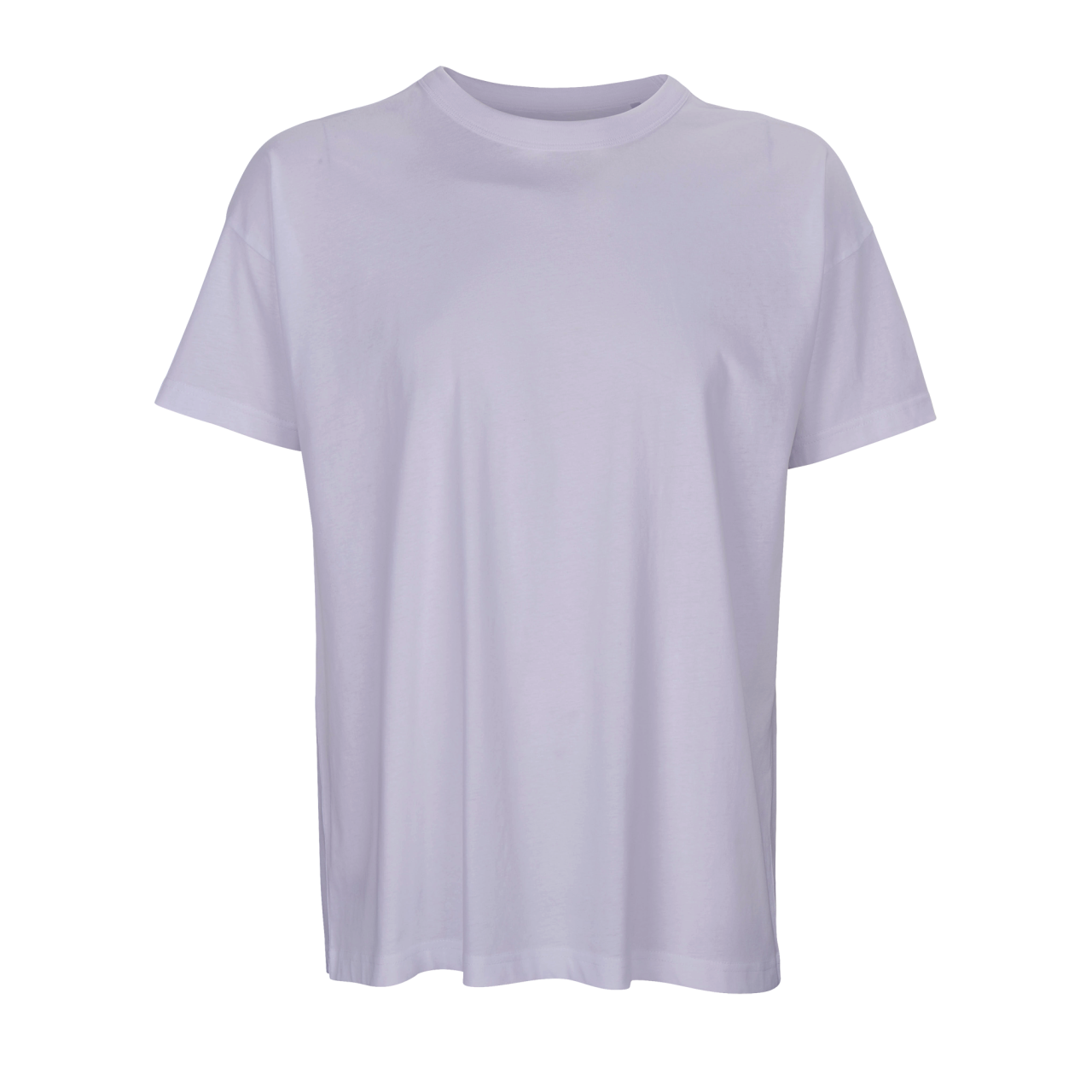 SO03806 Lilac
